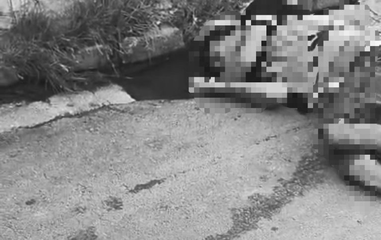 O mesmo morreu na hora. O crime tem ligação direta com o tráfico de drogas que ainda deve ser investigado. O corpo foi levado para o Instituto Médico Legal, (IML)