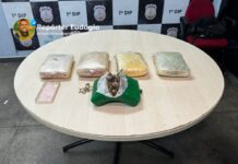 Operação surpresa: Polícia intercepta trio com 5 kg de skunk no Porto de Manaus