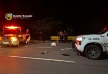 Vendedora ambulante morre atropelada ao atravessar a Rodovia Manoel Urbano, na Ponte Rio Negro