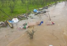 Pescador encontra corpo com sinais de mutilação em área alagada no Careiro Castanho