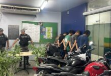 ROCAM encontra estufa de maconha e prende cinco homens em chácara no Tarumã