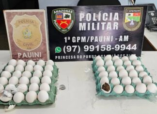 Mulher é presa ao tentar entregar drogas escondidas em ovos a detentos na delegacia de Pauini