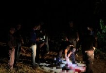 Dupla é assassinada a tiros no Ramal do Matoso, bairro Jorge Teixeira