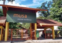 Museu da Amazônia recebe licença para operar como jardim zoológico