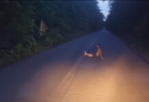 VÍDEO: Homem é flagrado sentado no meio da BR-174 e coloca motoristas em risco