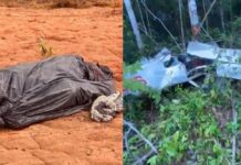 Corpo de piloto é encontrado em mata após possível queda de aeronave ligada ao tráfico no Amazonas