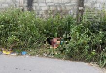 Homem é encontrado m0rt0 com sinais de @gressão em área de mata no bairro Santa Etelvina