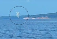 Vídeo registra queda de avião de pequeno porte no Rio Negro próximo à Ponte Rio Negro