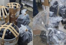 Polícia Civil apreende 153 kg de skunk avaliados em R$ 3 milhões no bairro São Raimundo, em Manaus