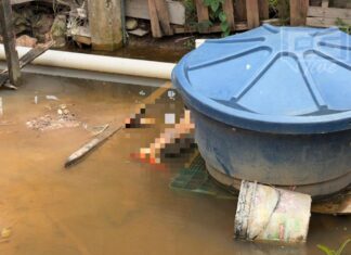 Homem é encontrado morto em igarapé na comunidade Nações Indígenas, no Tarumã