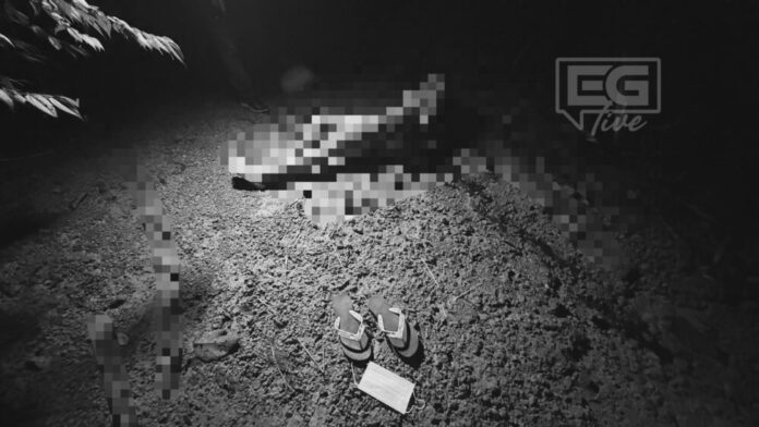 WhatsApp Image 2026-02-23 at 21.41.06