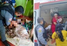 VÍDEO: Policiais militares realizam parto de gêmeos prematuros durante patrulhamento em Presidente Figueiredo