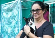 Manaus divulga lista de mil contemplados no programa ‘Ração do Meu Pet’