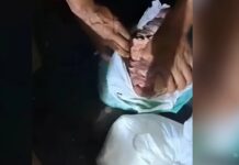 VÍDEO: Droga semelhante à pedra de oxi é apreendida dentro de carne bovina em embarcação no interior do Amazonas