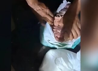 VÍDEO: Droga semelhante à pedra de oxi é apreendida dentro de carne bovina em embarcação no interior do Amazonas