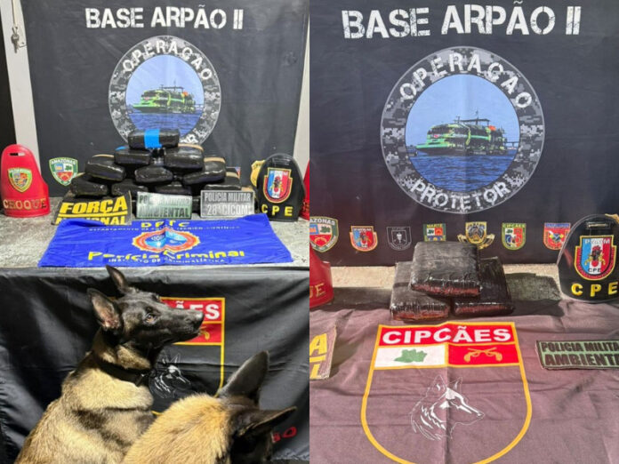 Design-sem-nome-1-24