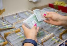 Inscrições para CNH Social terminam nesta segunda-feira (2) no Amazonas; veja como participar