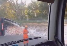 VÍDEO: Carreta com carga de trigo tomba na AM-010 e causa lentidão no trânsito na Rodovia nesta sexta-feira