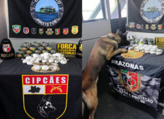 Drogas são encontradas escondidas dentro de latas de atum durante fiscalização no Amazonas