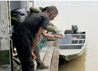 Idoso é resgatado com sinais de desnutrição após 25 dias desaparecido no Amazonas
