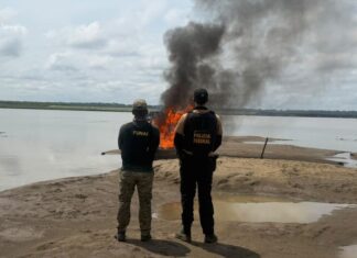 Operação da PF combate garimpo ilegal e inutiliza 15 estruturas no Alto Rio Solimões, no AM